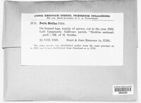 Image Associated With the Occurence